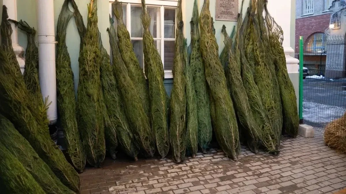 Фото: Дмитрий Абрамов / MR7