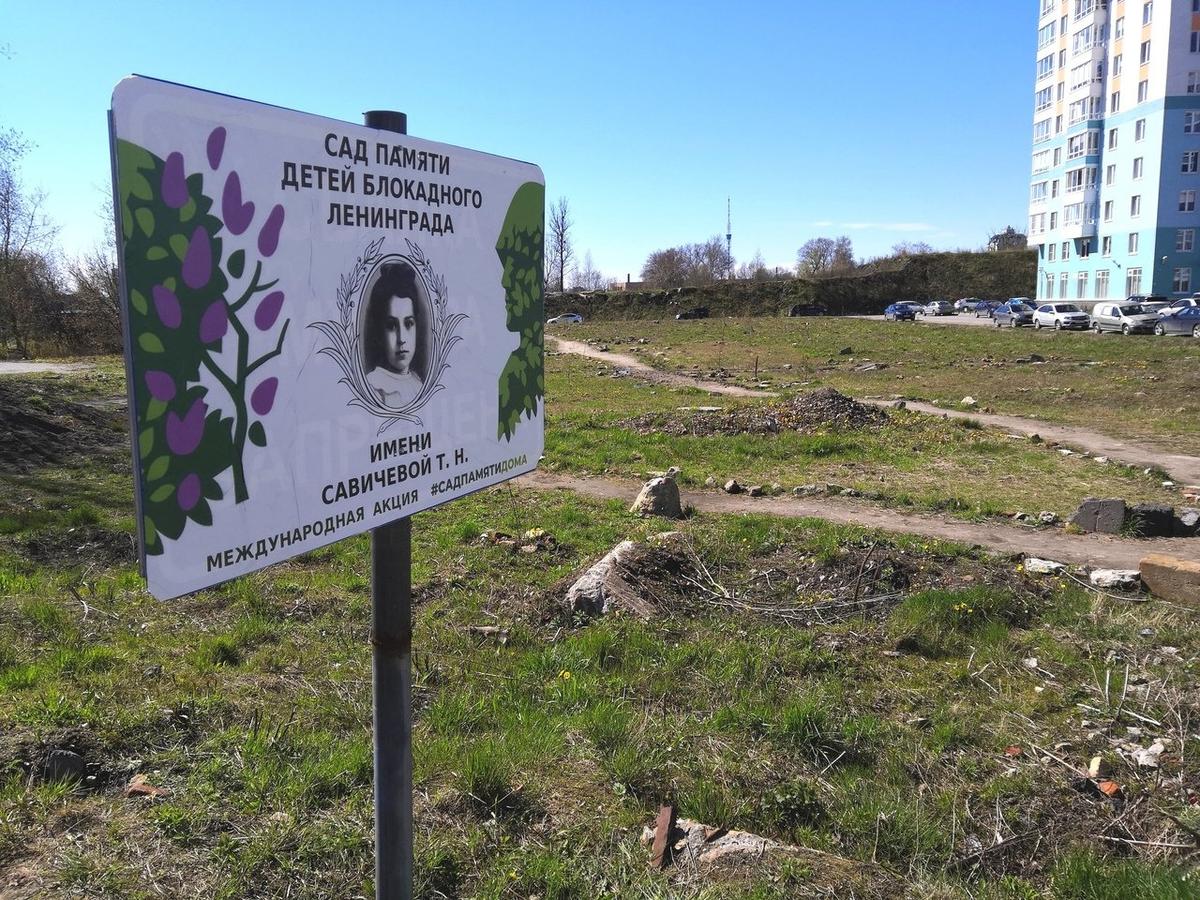 Фото: «Полюстрово Инфо | пр. Маршала Блюхера»