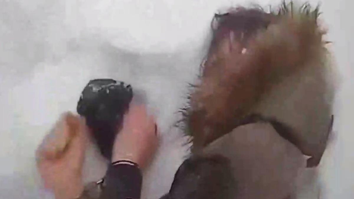 Скриншот видео ГУ Росгвардии по Петербургу