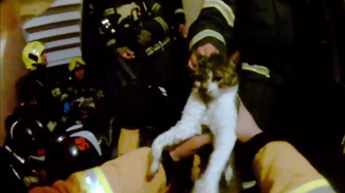 Скриншот видео: МЧС Петербурга