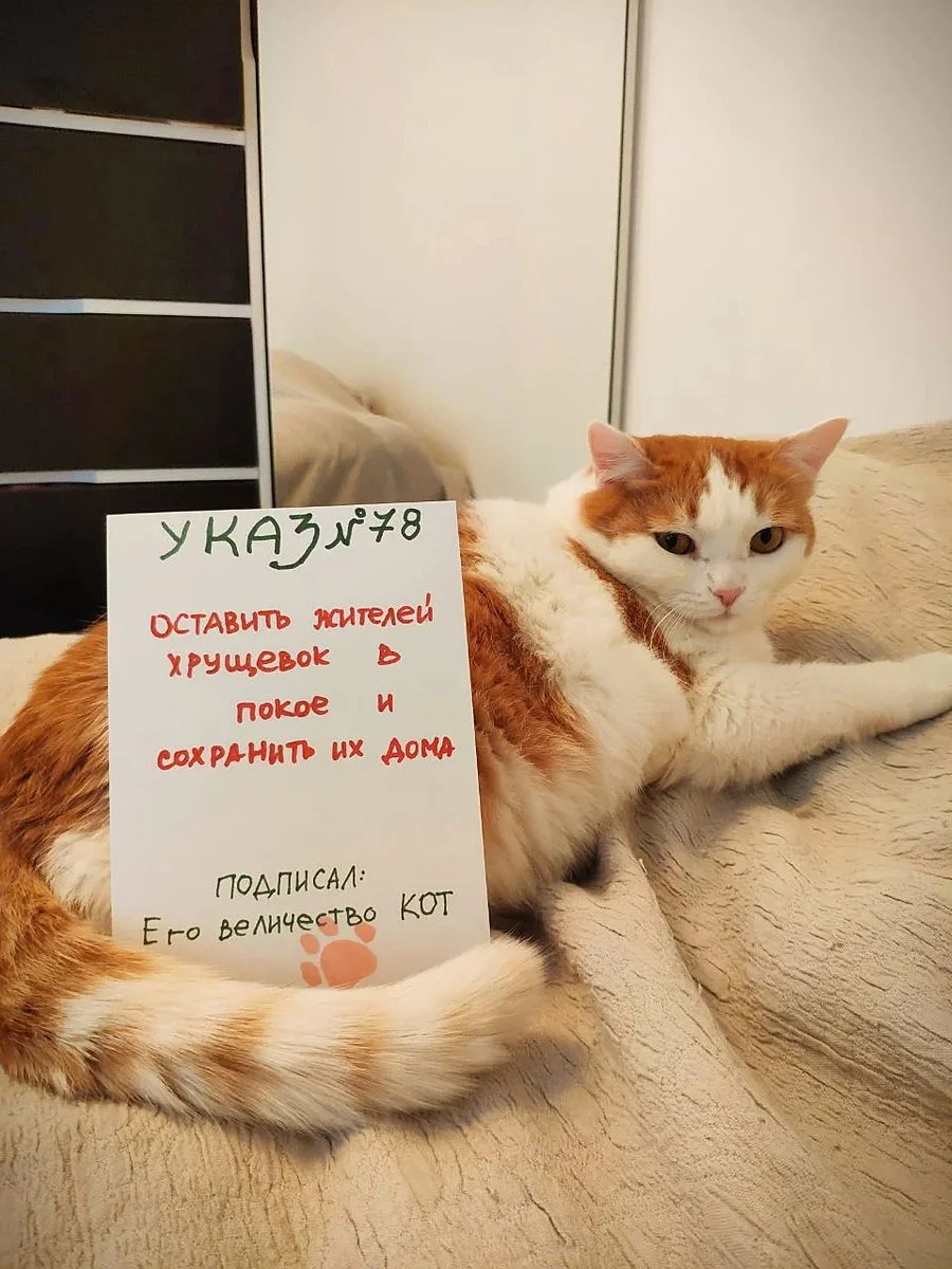 Кошка Муся из Калинского района стала главным противником сноса хрущёвок.  Вчера мы рассказали о конкурсе «Котэ против КРТ», а уже сегодня  организаторы поделились итогами. — Новости Санкт-Петербурга › МР7.ру