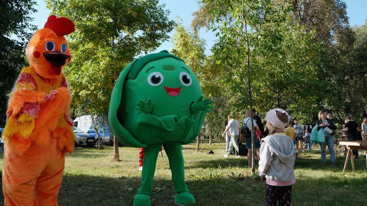 Во Фрунзенском районе проходит фестиваль «Купчинский кочан» — Новости  Санкт-Петербурга › МР7.ру