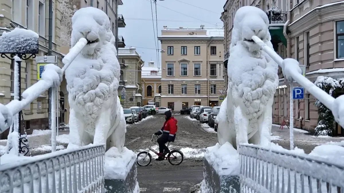 Фото: Павел Даиси / MR7