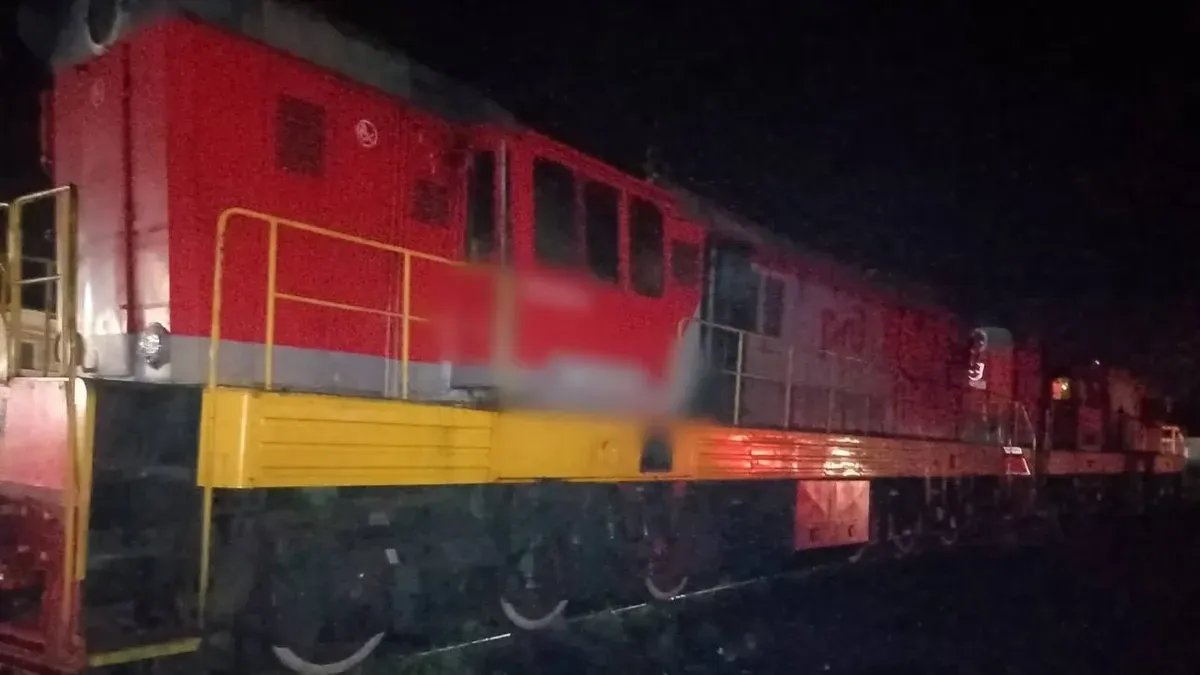 Фото: Транспортная полиция СЗФО