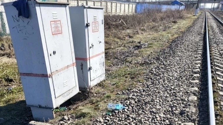 Фото: ГУ Росгвардии по Петербургу и Ленобласти