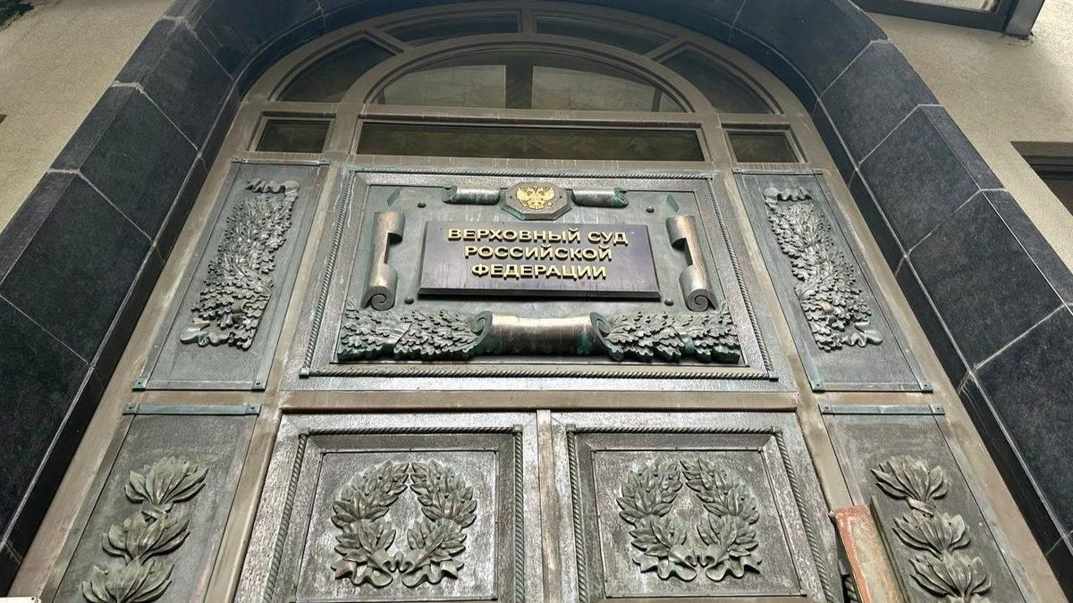 Фото: Дарья Дмитриева / МР7