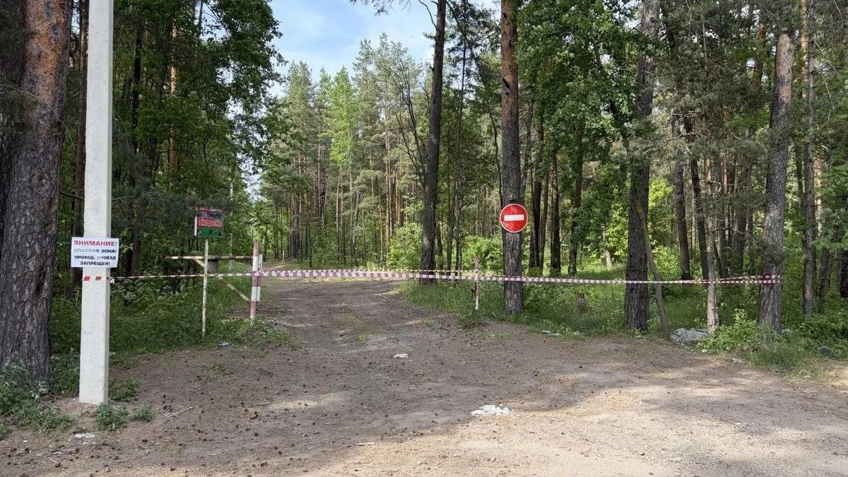 Фото: администрация Ленобласти
