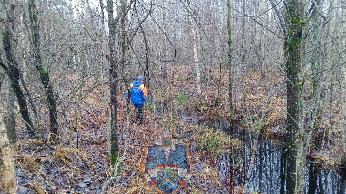 Фото: аварийно-спасательная служба Ленобласти