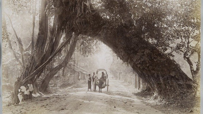 К «Путешествию на Восток» с уникальными фотографиями XIX-XX веков готовятся в РОСФОТО