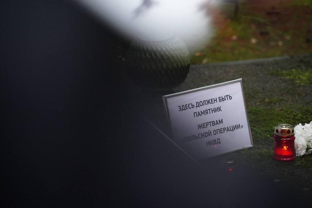 Фото: Павел Борисенко / MR7