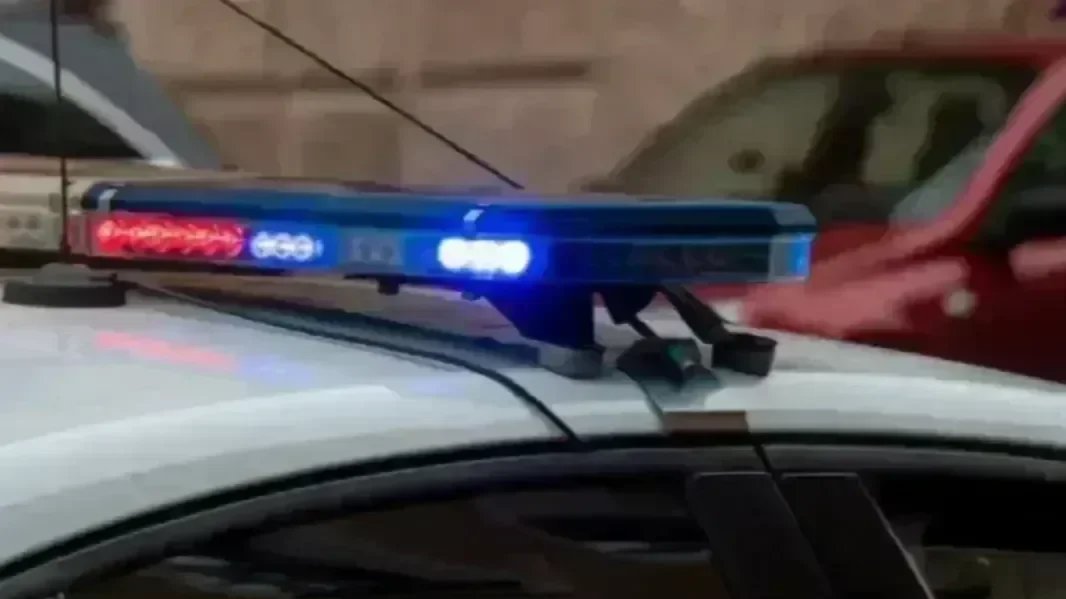 Фото: Олег Золото / MR7