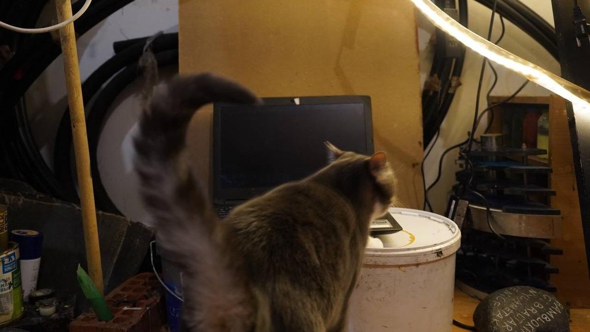 Фото: Павел Борисенко / MR7