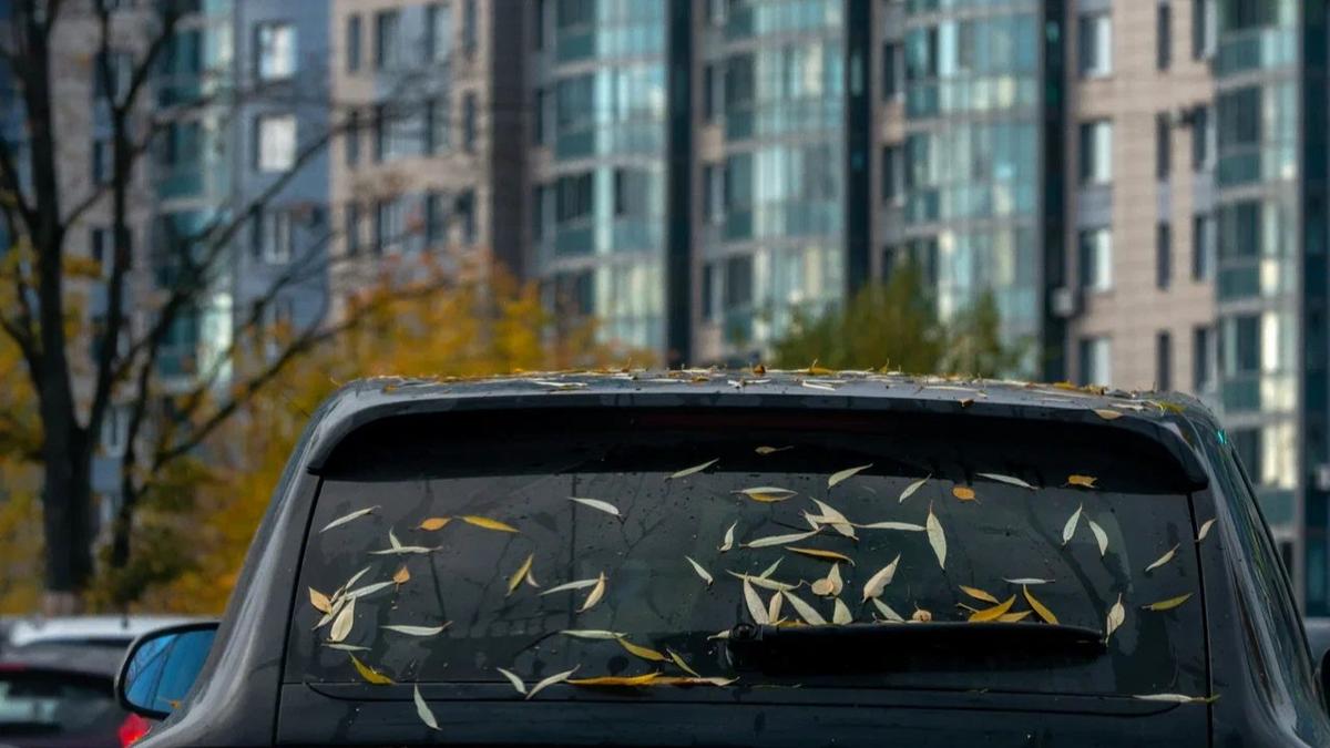 Фото: Олег Золото / MR7