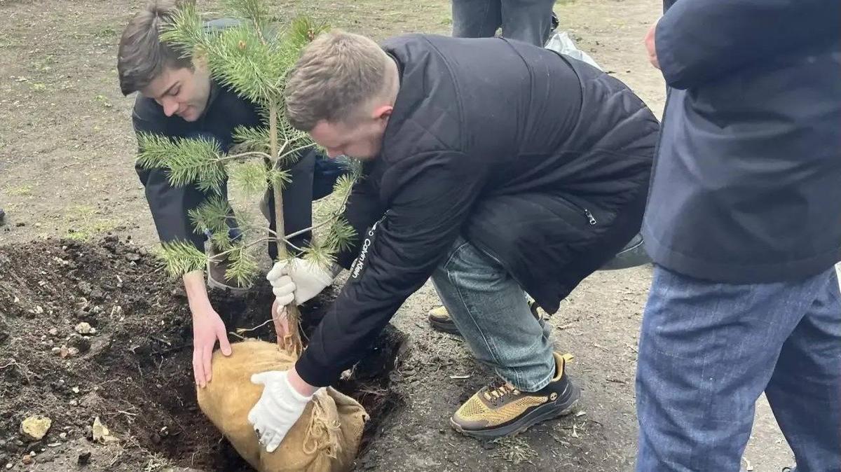Фото: комитет по транспорту