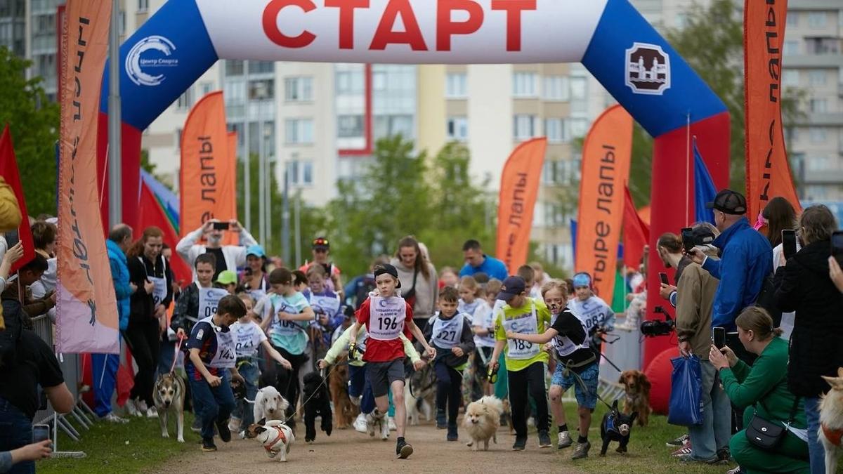 Регистрация на благотворительный забег с собаками «Необыкновенный кросс» открылась в Петербурге