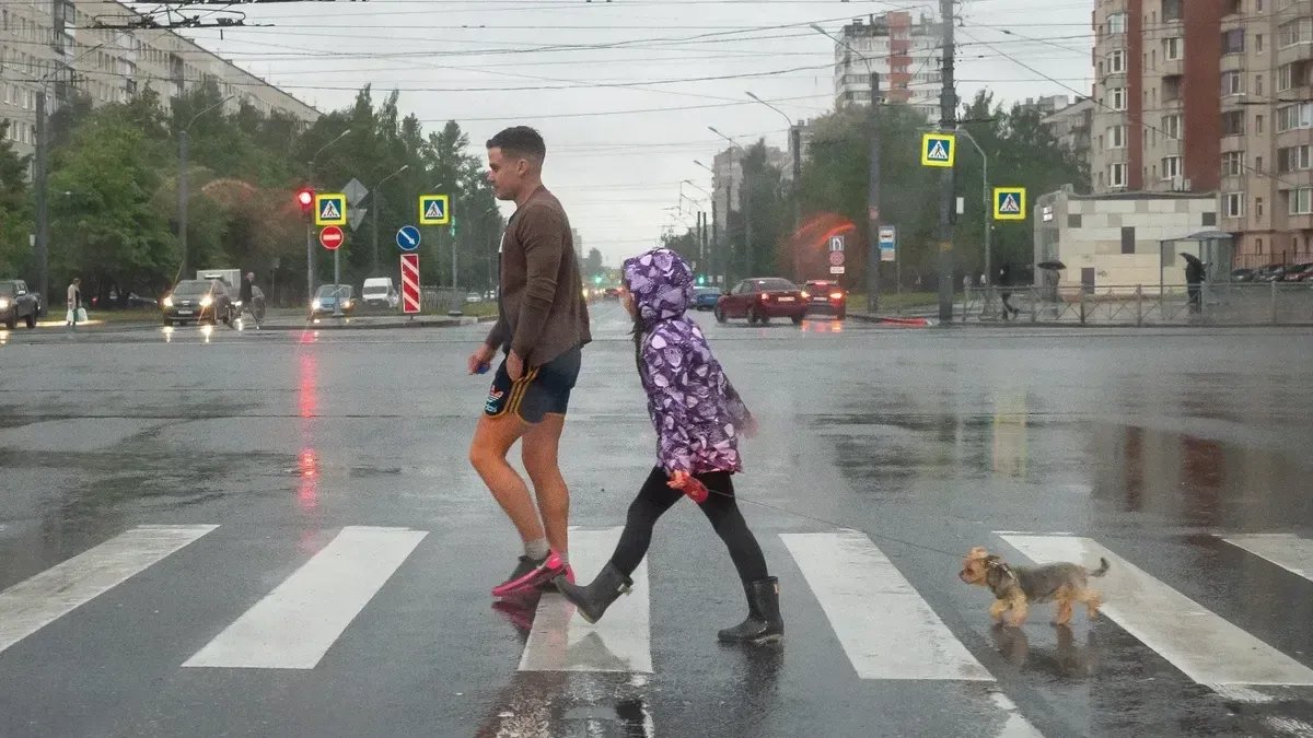 На Петербург обрушились ливни и грозы. Больше всего «намочило» Курортный район