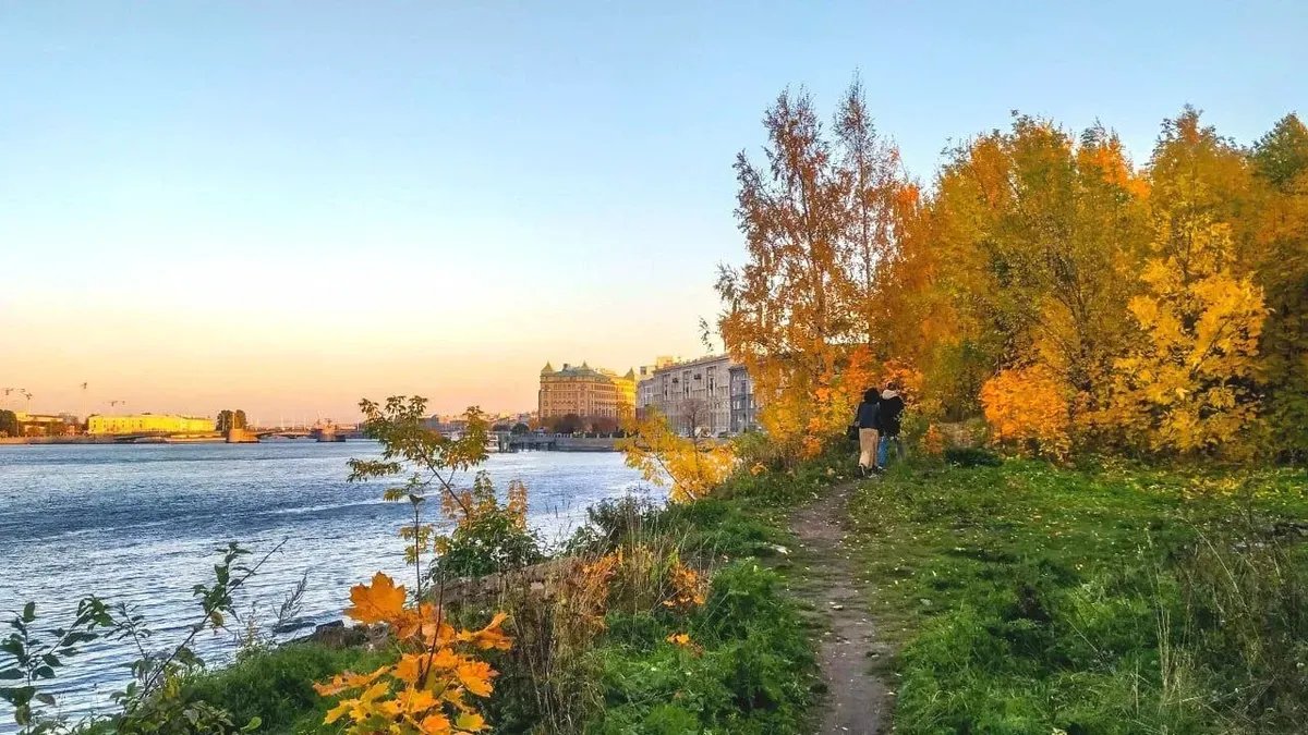 Фото: «Заросли — Парк на Малой Неве»