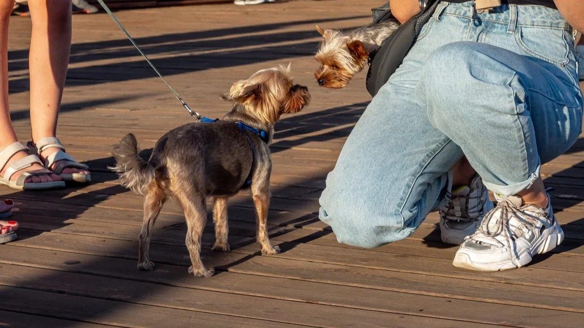 Фото: Олег Золото / МР7