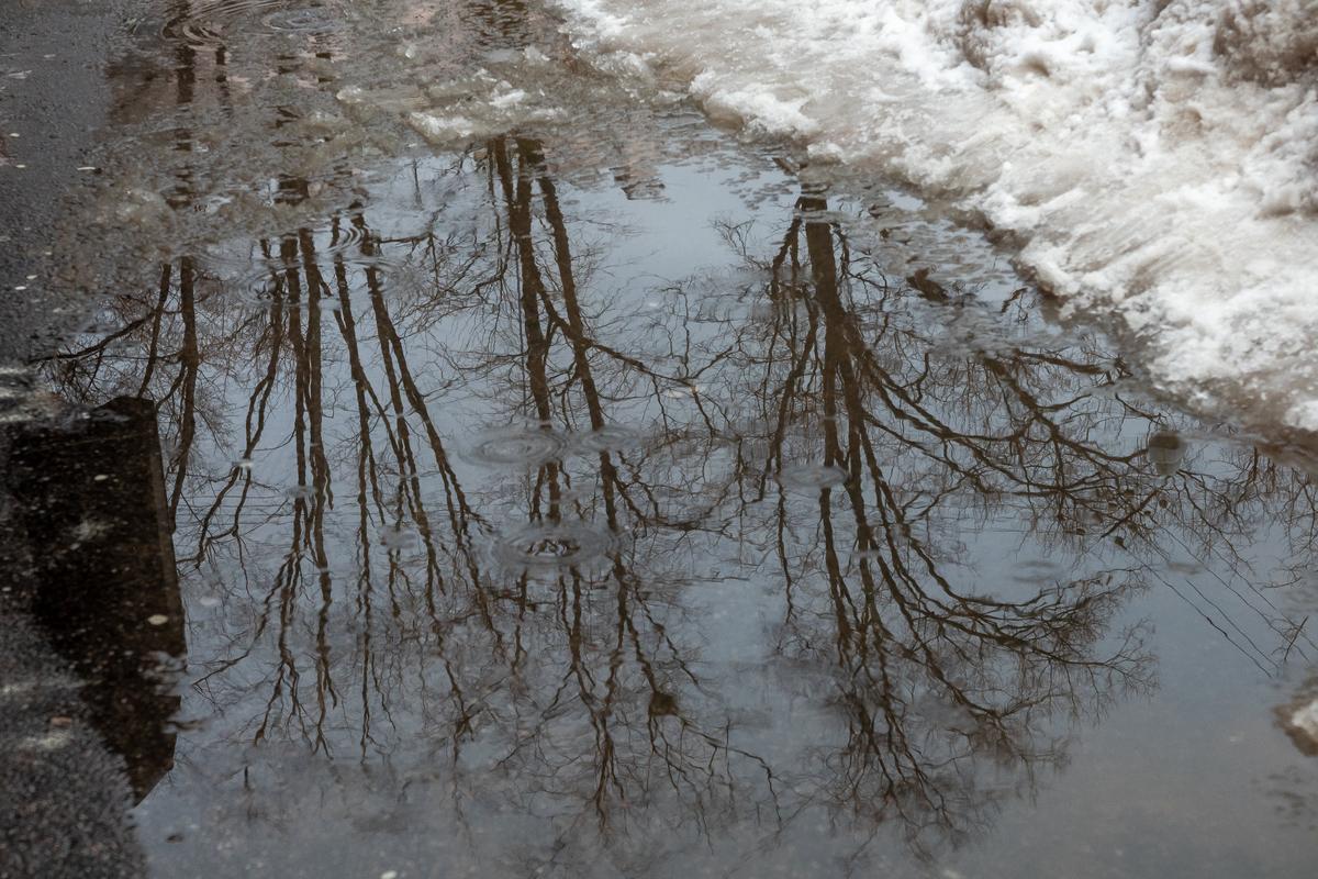 Фото: Олег Золото / MR7