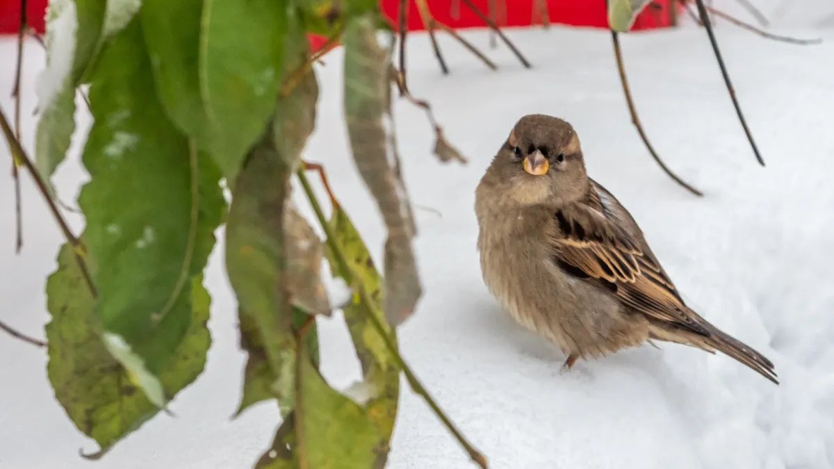 Фото: Олег Золото / MR7