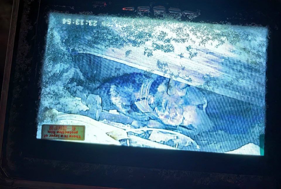 Фото: «Кошкиспас»