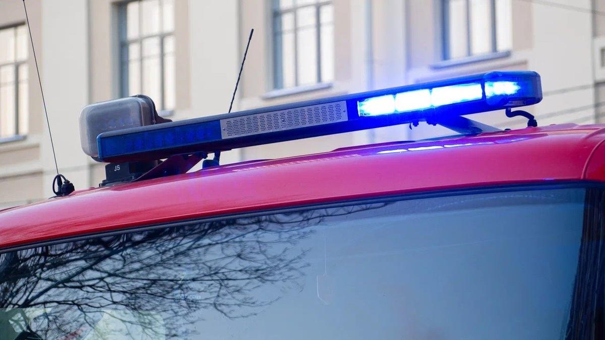 Фото: Дмитрий Абрамов / МР7