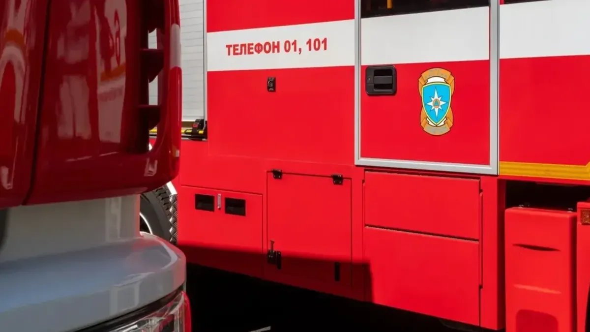 Фото: Олег Золото / МР7