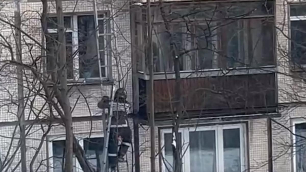 Спасатели в Петербурге через окно пробрались к девочке, бросавшей вниз игрушки