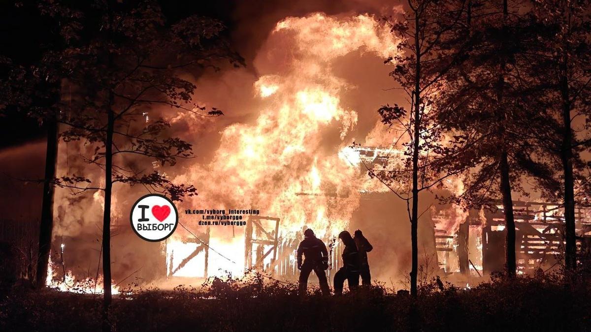 Фото: Выборг Go