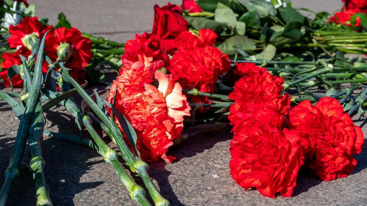 Фото: Олег Золото / МР7