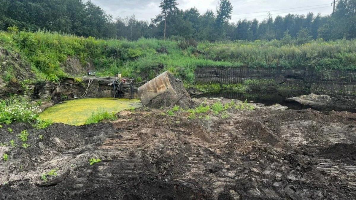 Фото: ГУ МВД по Петербургу и Ленобласти