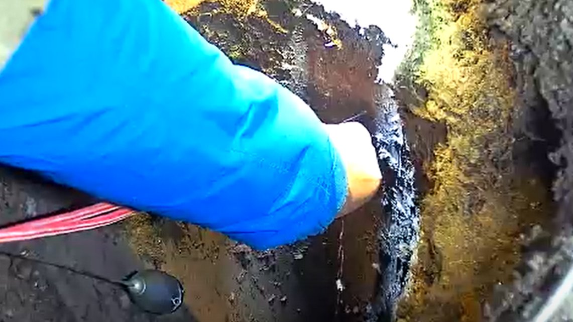 Спасатели достали застрявших в старом мусоропроводе голубей