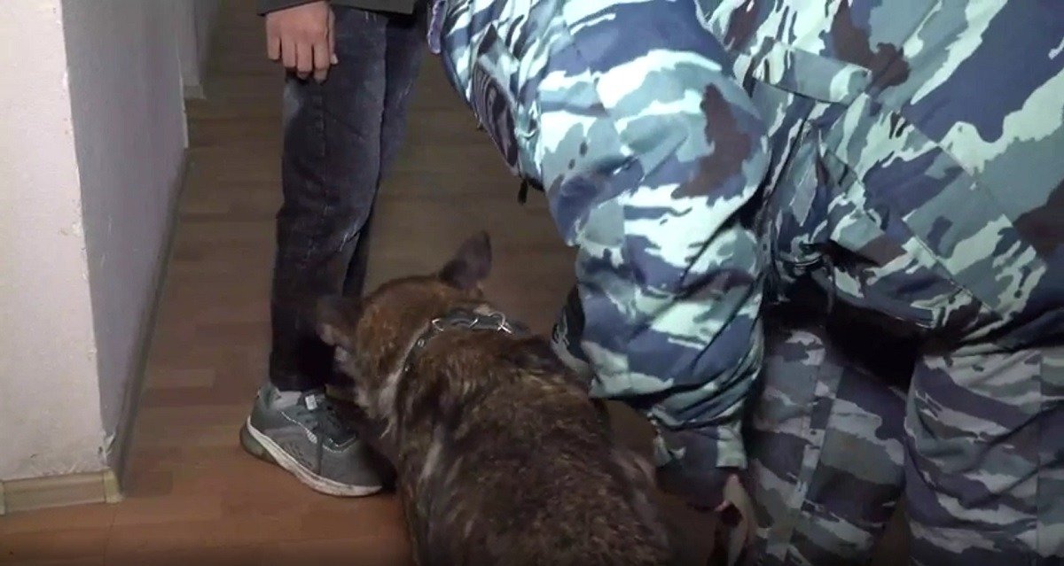 Скриншот видео: ГУ МВД по Петербургу и Ленобласти