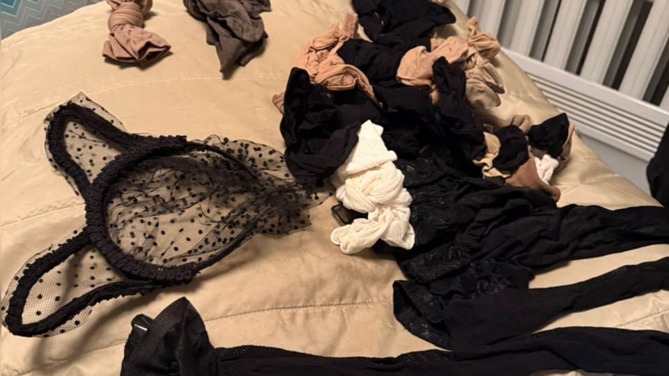 Фото: МВД Петербурга и Ленобласти