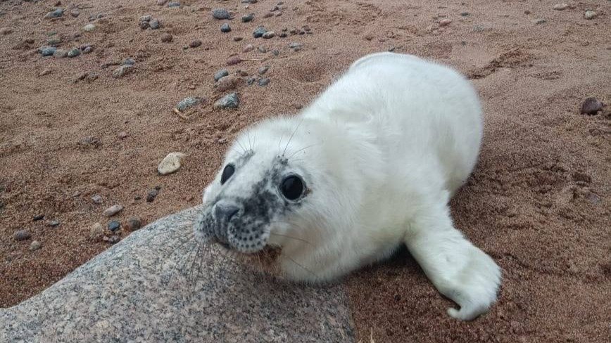 Фото: Водоканал Петербурга