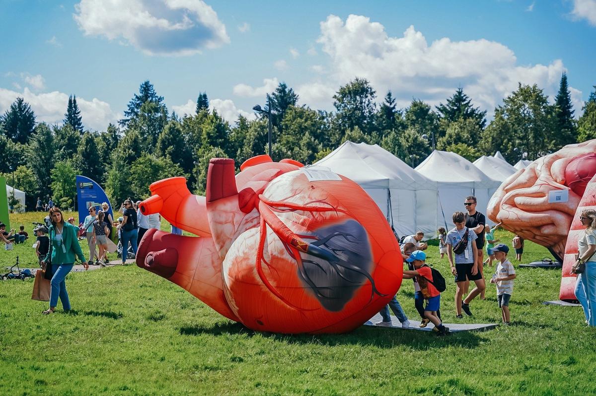 Большой семейный фестиваль 5 августа. Фото: страница фестиваля «ВКонтакте»