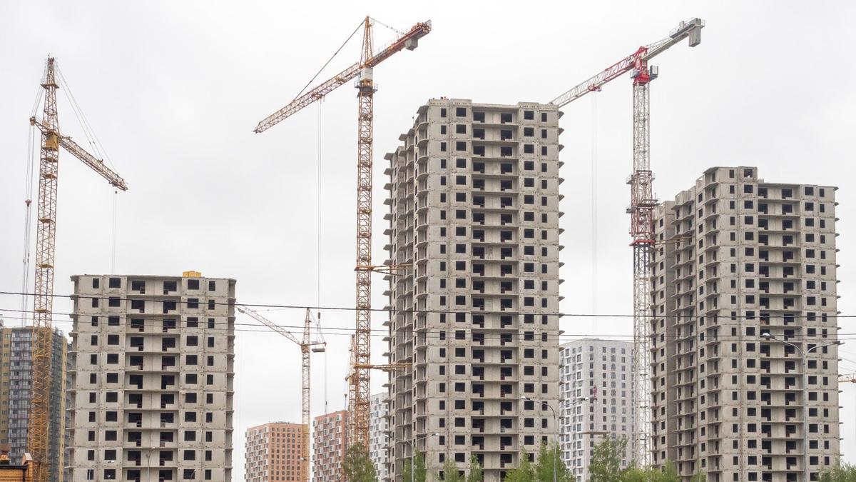 Фото: Олег Золото / MR7