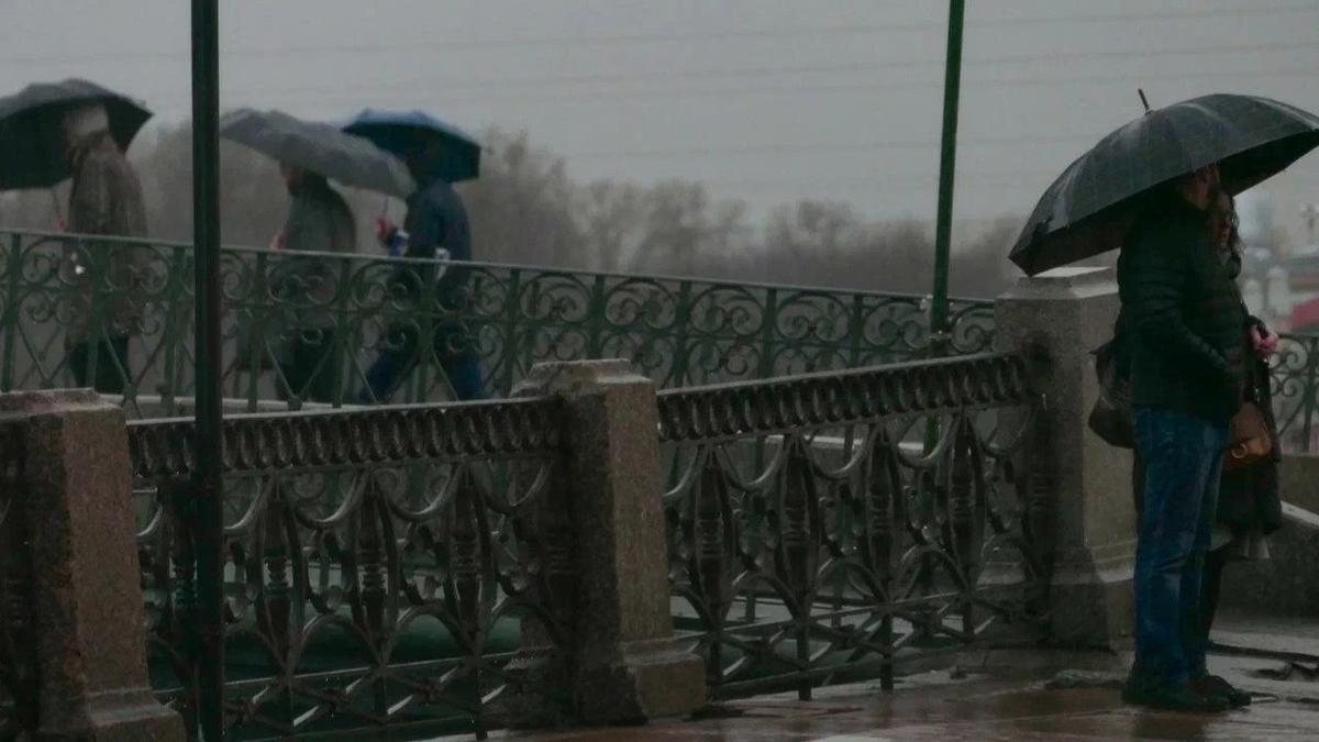 Фото: Павел Даиси / MR7