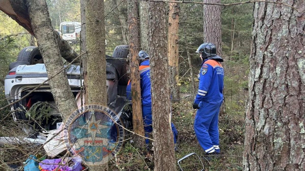 Фото: аварийно-спасательная служба Ленобласти
