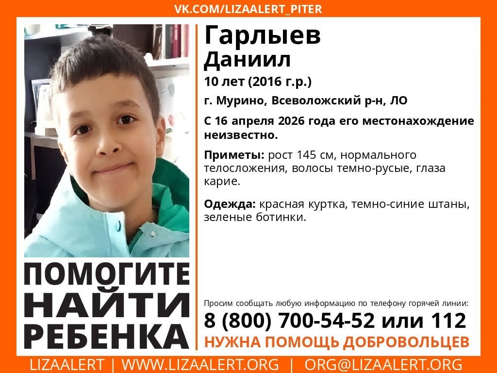 Фото: «ЛизаАлерт»