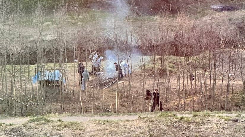 Фото: «Девяткино онлайн»