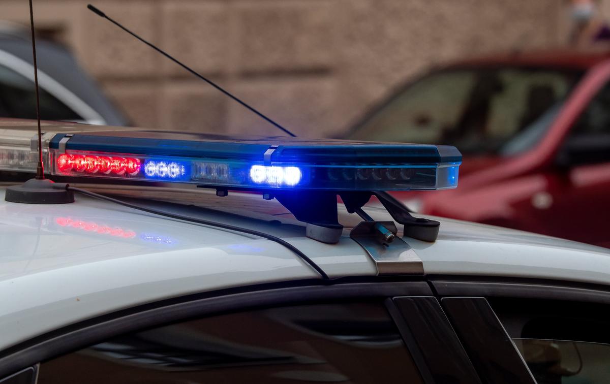 Фото: Олег Золото / MR7