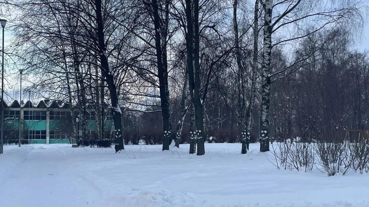 Фото: комитет по благоустройству