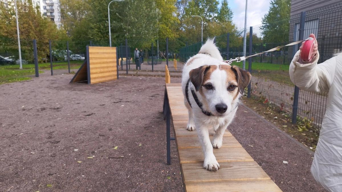 Фото: пресс-служба администрации Петербурга