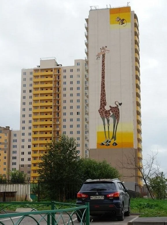 Жираф. фото Екатерина Краева