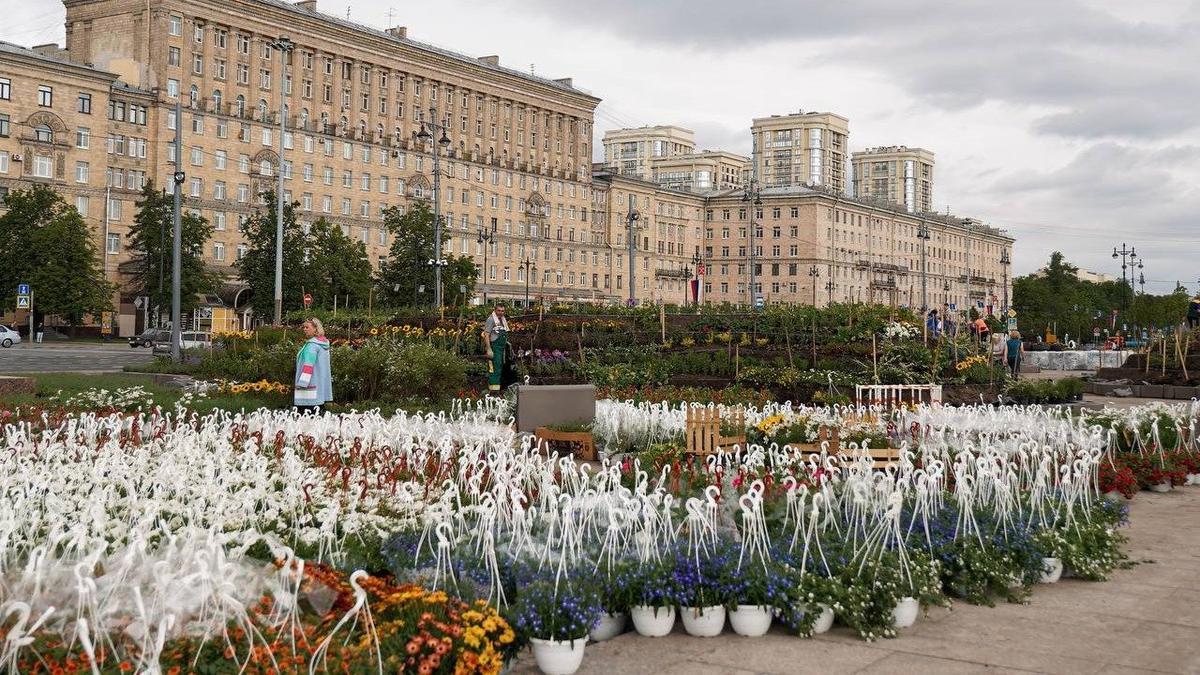 Фото (2025 год): Евгений Разумишкин