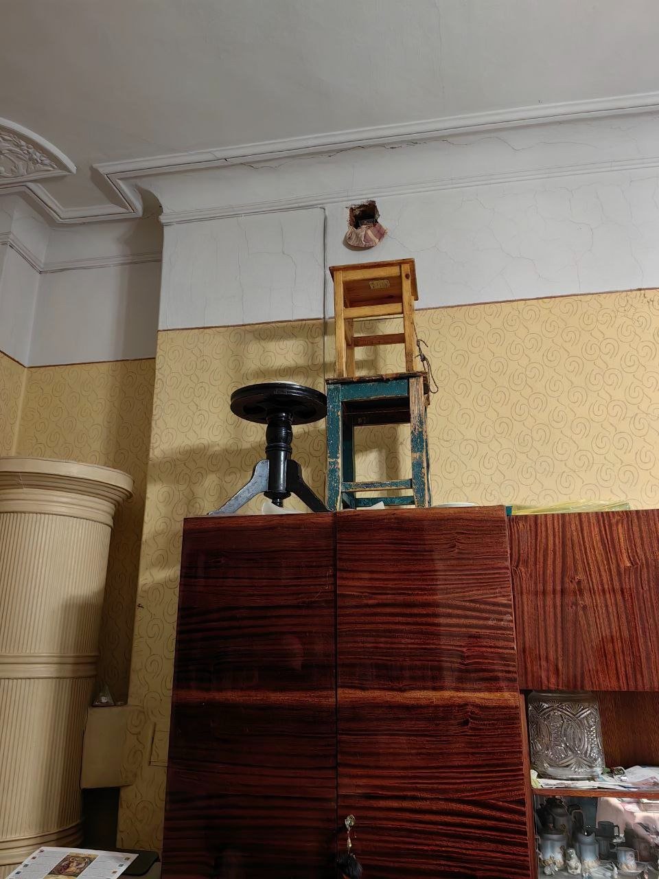 Фото: «Кошкиспас»