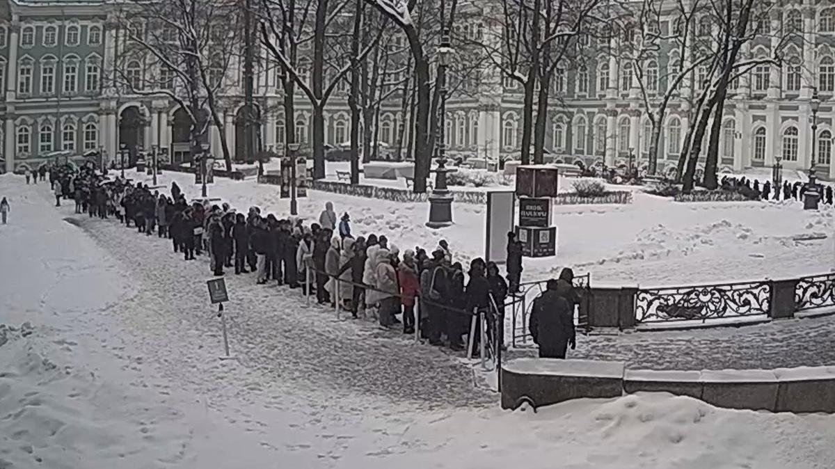 Скриншот: снимок веб-камеры с официального сайта Эрмитажа