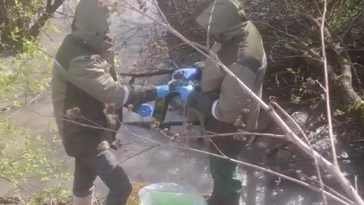 Скриншот: пресс-служба Росприроднадзора