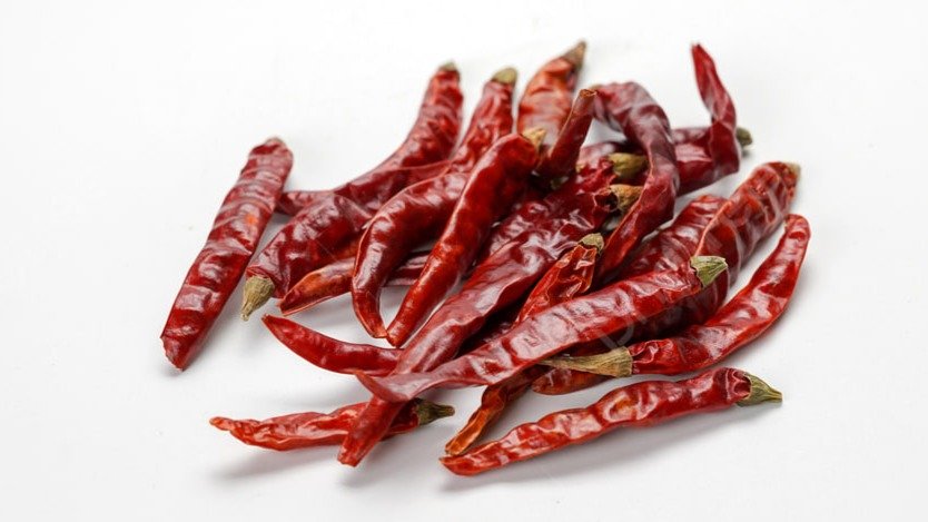 Фото: Северо-Западное управление Россельхознадзора